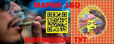 гидропоника Камышлов
