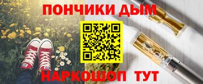 гидропоника Камышлов