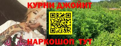 гидропоника Камышлов