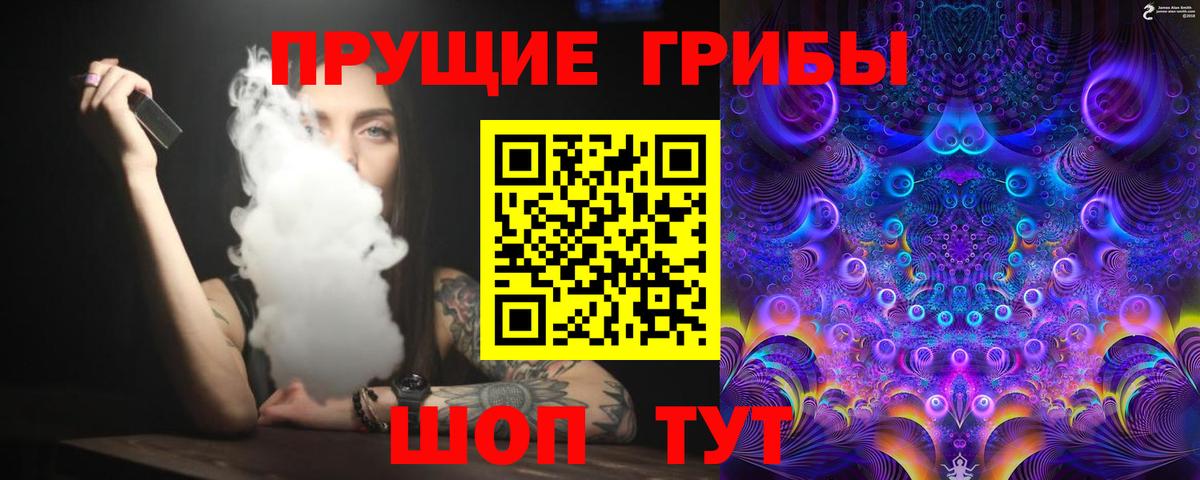 наркота  Галлюциногенные грибы прущие грибы  Вход с VPN  Магадан 